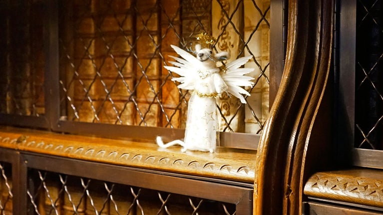 A felt dressed up Angel Mouse on the book presses in the Long Gallery, Blickling Hall